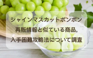 ｼｬｲﾝﾏｽｶｯﾄﾎﾞﾝﾎﾞﾝ再販情報と似ている商品,入手困難攻略法について調査 