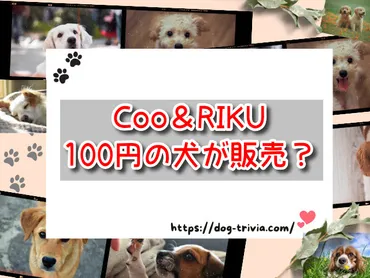 Coo＆RIKUで100円の犬が販売？安い理由や問題はないの？