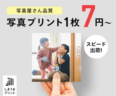 しまうまプリントの印刷料金・送料・納期