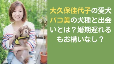 大久保佳代子さんの愛犬パコ美ちゃんとの生活は？愛犬との暮らしとは!!?