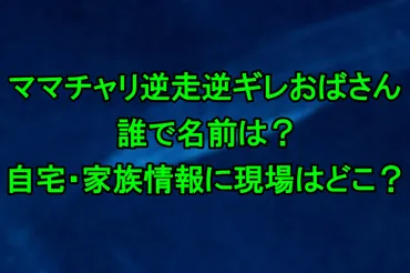 ママチャリ逆走おばさん、一体何があったの？ネット炎上とは！？