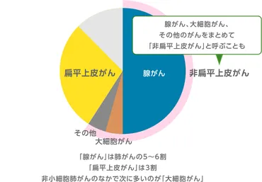 非小細胞肺がんとは？治療方針や腺がん・扁平上皮がん・大細胞がんなど詳しく解説