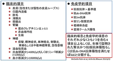 全身性エリテマトーデス（systemic lupus erythematosus: SLE）