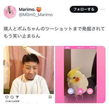 証拠5選】笠原桃奈は瑛人の親戚で姪っ子?インコのポムちゃんとツーショットで確定か!? 