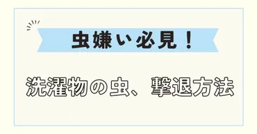 洗濯物につく虫ってグンバイムシ？原因やベランダ干しの対策を解説 