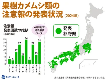 地球温暖化が影響か 全国的にカメムシが大量発生中 夏に向けてさらに増加も？ 