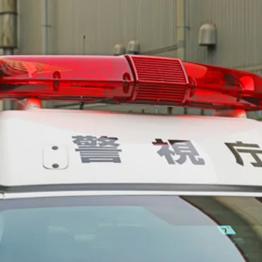 小学校男性教諭を逮捕 教え子を駐車場に連れ込み抱きつき 東京で教諭によるわいせつ事案相次ぐ – TREND NEWS CASTER