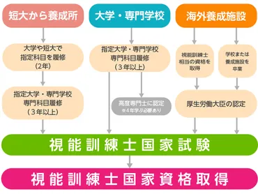 視能訓練士とは？仕事内容から受験資格、就職先を解説