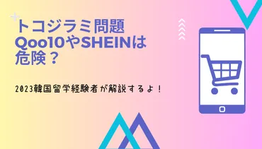 SHEINでトコジラミ？！ 韓国の