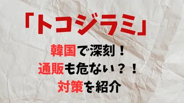 海外通販でトコジラミ発生!? 恐るべき実態と対策とは？海外通販はトコジラミとの戦い!!?