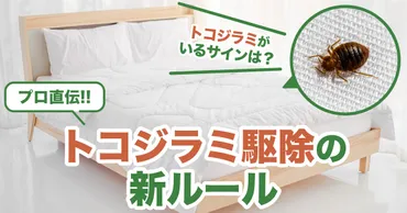 トコジラミ、海外旅行で要注意！  日本でも増加中？トコジラミ対策とは！？