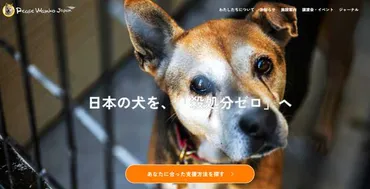 怪しい？】ピースワンコ・ジャパンの口コミ評判は？専門家に詳しく聞いてみた│gooddoマガジン