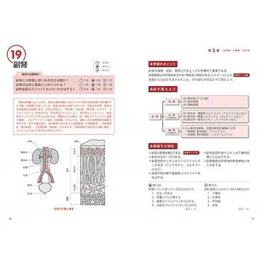 あん摩マッサージ指圧師・はり師きゅう師・柔道整復師国家試験対策 よく出るテーマ50 解剖学 : 戸村多郎 