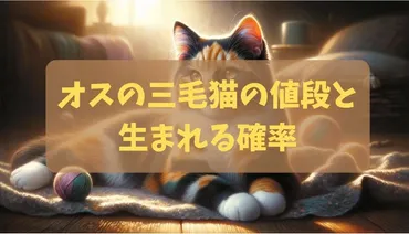 オスの三毛猫の値段と生まれる確率：値段に影響する希少性