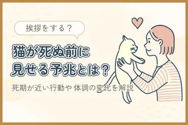 愛猫の最期のメッセージは？(エンジェルタイムとは？)愛猫との別れ方とは！？