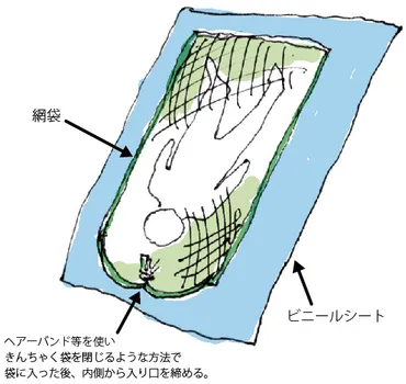 トコジラミの脅威 海外旅行で増加する被害？対策を知って安心安全な旅を!!?