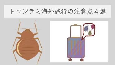 トコジラミ とは？症状と対策、海外旅行の注意点４選【韓国のホテルで実際に刺された皮膚科医が解説】【南京虫、ナンキンムシ】 