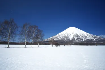 タカアンドトシ・トシのファミリーヒストリー 父は大物ミュージシャンマネージャー 