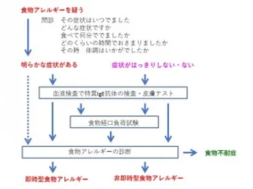 食物アレルギー 