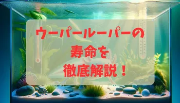 ウーパールーパーの寿命を徹底解説！健康管理と長生きさせるための環境設定と