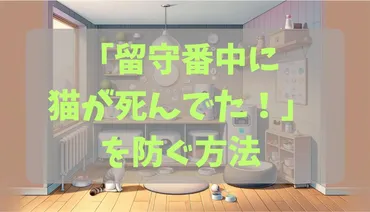 猫ちゃんのお留守番！安心安全に過ごすには？猫のストレス対策とは！？