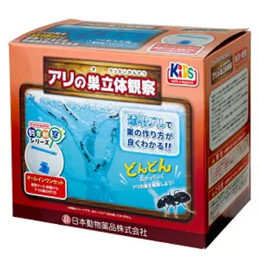 夏休みの子どもの自由研究に！アリなどの観察・飼育キットのおすすめランキング