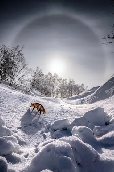 写真が紡ぐ物語、北海道での生活と探求 #写真家放談 