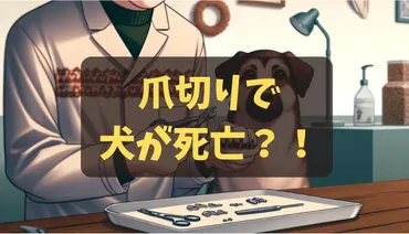 愛犬の爪切り、実は危険！？死亡例から学ぶ、安全な方法とは？愛犬の命を守る、爪切りの真実とは！？