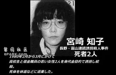 日本女恶魔:IQ138 诱拐少女杀人抛尸