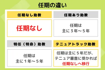 大学教員の雇用形態を理解する】テニュアトラックや特任助教のポイント 