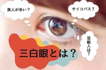 三白眼って実は魅力的？性格や芸能人、メイクまで徹底解説三白眼の真実とは！？