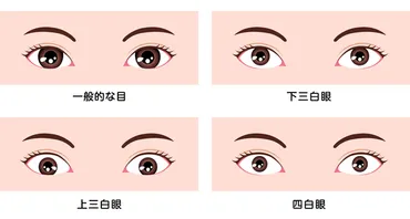 三白眼とは？美人が多い？性格的な特徴や芸能人一覧 