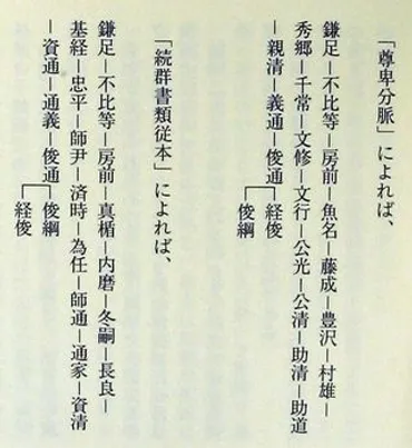 兵の家各流・京武者藤原公光とその各流 ／北道倶楽部