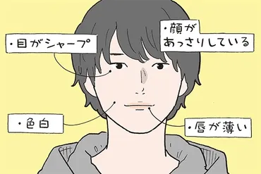 塩顔男子の特徴とは？ 塩顔イケメン俳優ランキングTOP5【イラスト付】