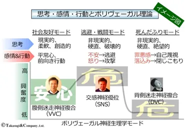 五月病は「死んだふり」の防衛反応？ポリヴェーガル理論による考察 