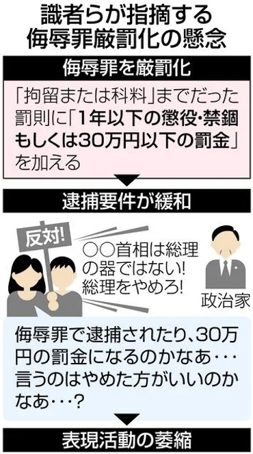 侮辱罪の厳罰化に賛否 「批判の自由」損なわれる懸念も 参院で参考人質疑：東京新聞 TOKYO Web