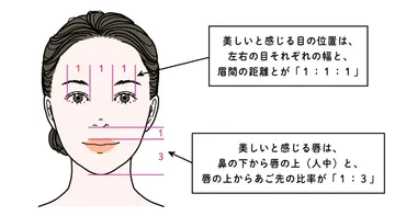 顔の黄金比率とは？医師が教える、美人顔の条件＆簡単チェック法