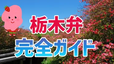 栃木県の方言を知ろう！栃木弁の言葉の意味や使い方を解説します！│あいのーと