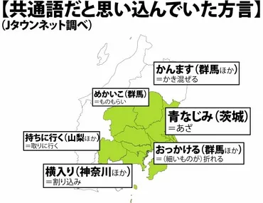 青なじみ」とは何だ？茨城県民は共通語と信じて疑わない...関東の「実は方言」な言葉もこんなにある(全文表示)