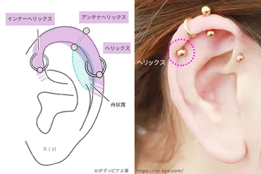 軟骨ピアス、どこ開ける？人気部位と注意点！軟骨ピアスの魅力とは！？