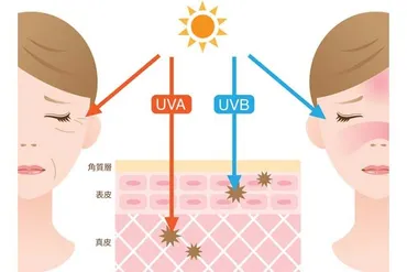 美肌と白い歯を手に入れる方法？美の秘訣とは！？