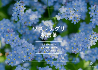 ワスレナグサ（忘れな草）の花言葉