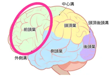 音読は最強の脳トレ？効果と実践方法とは！？