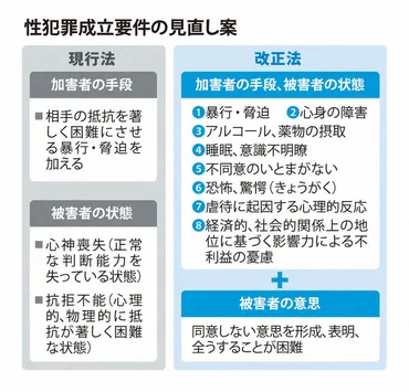 改正刑法成立、強制性交等罪が「不同意性交等罪」に 具体例8項目 