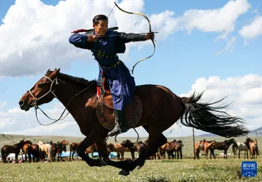 モンゴルで遊牧民世界文化祭 迫力の馬術を披露