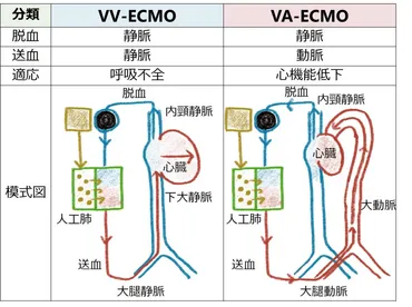 VV