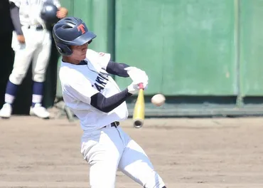 全国高校野球 兵庫大会 準々決勝 明石商、快勝で4強 滝川第二、神戸国際大付も ／兵庫 