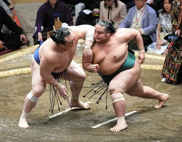 新入幕・島津海が3連勝 角界に導いたのは、同じ種子島出身の元大関：朝日新聞デジタル