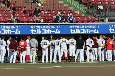 井納翔一、一二三慎太ら49人が参加 2022プロ野球12球団合同トライアウト／詳細 