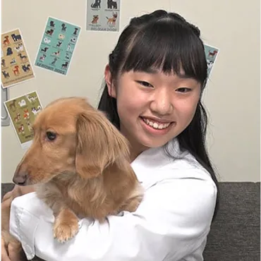 ドッグショー博士ちゃんの犬の値段はいくら？相馬幸奈のプロフィールは？